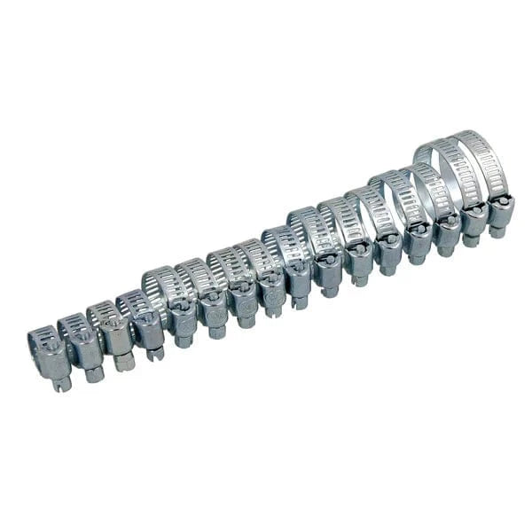 CT1944 - 16pc Hose Clamp Set