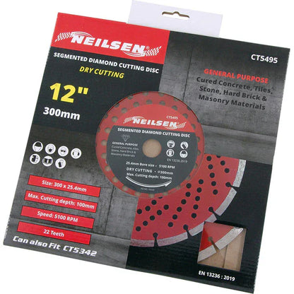 CT5495 - 300mm Diamond Disc